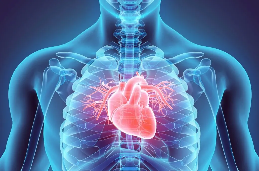 A First Look at the STS 2026 Science Shaping CT Surgery